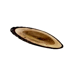 Oval Uzun Kütük