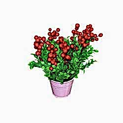 Çiçekli Dekoratif Kova (Pembe)