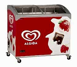 Algida Dondurma