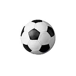 Futbol Topu Kiralama
