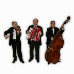 Trio Müzik Grubu 