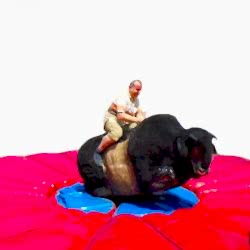 Şişme Oyun Rodeo