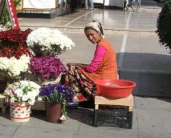 Çiçekçi Standı